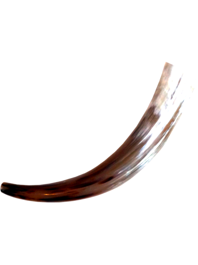 Rufhorn